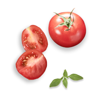 tomate